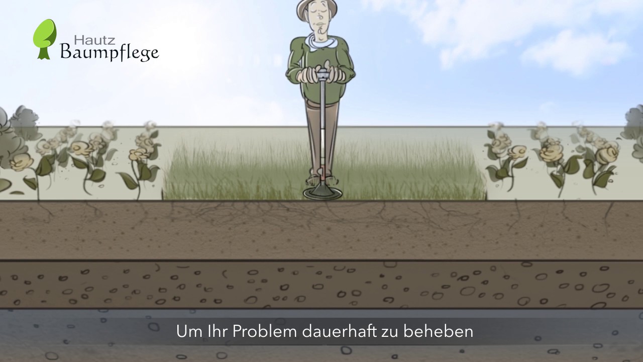 Staunsse Im Garten Beseitigen