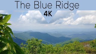 4 Hours of Mountain Birdsong - The Blue Ridge 4K - Relaxing/Studying/Meditating