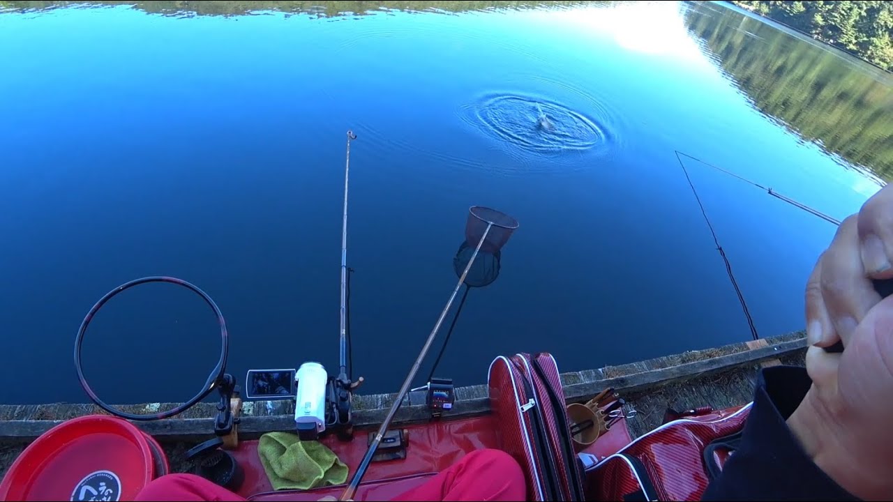 『聖湖』　白樺桟橋　涼しい信州の中でも　この桟橋は抜群の涼しさ