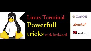 Linux Terminal Shortcuts Every Power Linux User Must Know | DailystudyLinux| Linux admin screenshot 5