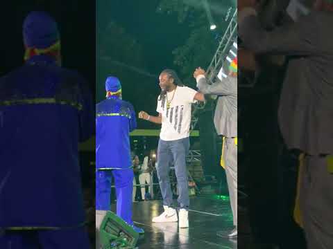 Ffurious dream weekend performance with capleton 🔥🔥🔥