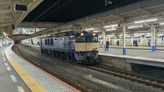 JR東日本　EF64 1031号機　大船駅入線シーン