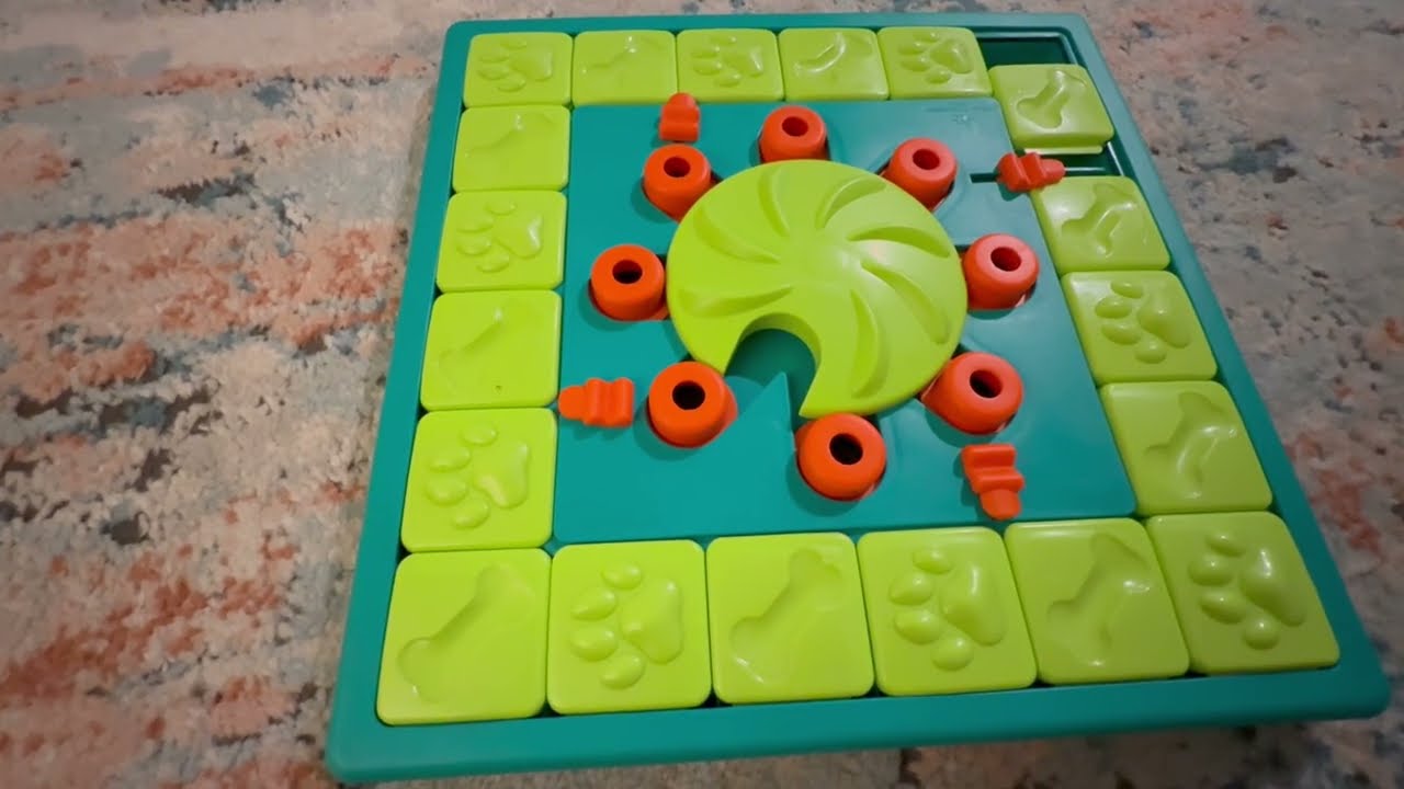 Outward Hound Nina Ottosson MultiPuzzle Review: Expert Level Dog