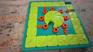 Outward Hound Nina Ottosson MultiPuzzle Review: Expert Level Dog Puzzle Toy Test