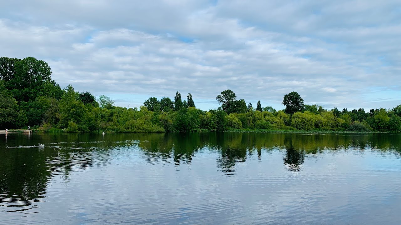 Trout lake vancouver britishcolumbia YouTube