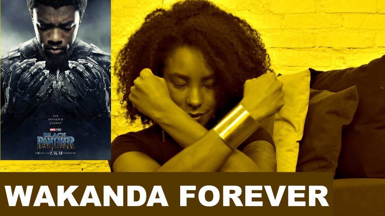 11 fatos sobre Pantera Negra - o filme (sem spoiler) | Soul Vaidosa