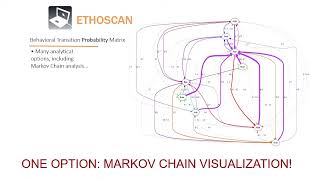 Creating Behavior Transition Probabilities And Markov Chain Visualizations From Promethion Data....