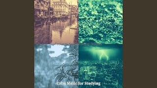 Retro Ambience for Learning