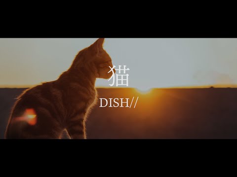 【カラオケ】DISH// - 猫【キー＋5】