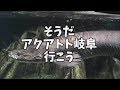 【水族館】アクアトト岐阜に行ってきました の動画、YouTube動画。