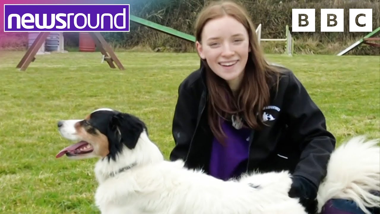 How Did Maisie Get Over Her Fear Of Dogs 🐶 Crufts 2023 Newsround