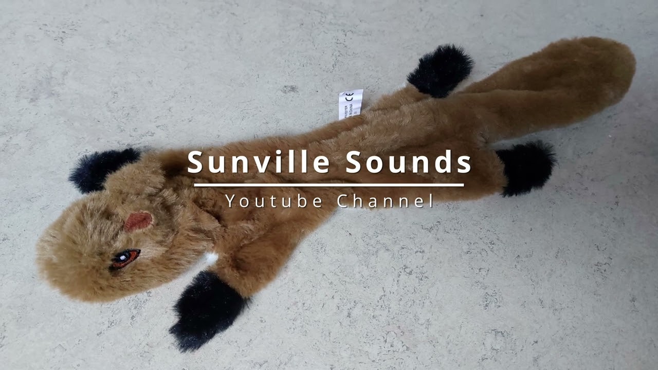 1 Hour of Squeaky Squirrel Toy Sound