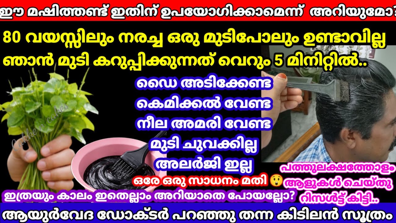 മഷിത്തണ്ട്ആള് നിസ്സാരക്കാരനല്ലാട്ടോനരച്ചമുടി വേരോട് കൂടികറുപ്പിക്കാംഈ മാജിക്‌ടിപ്പ്അറിയാതെപോയോ?
