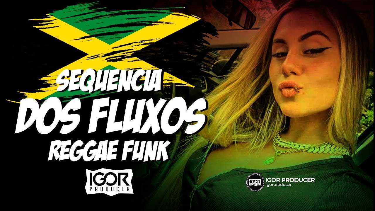 SEQUÊNCIA DOS FLUXOS - Reggae Funk Remix 2024 @igorproducer