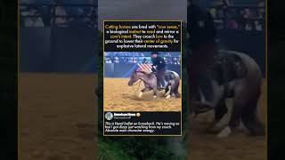 THE FASTEST TURNS IN THE EQUINE WORLD