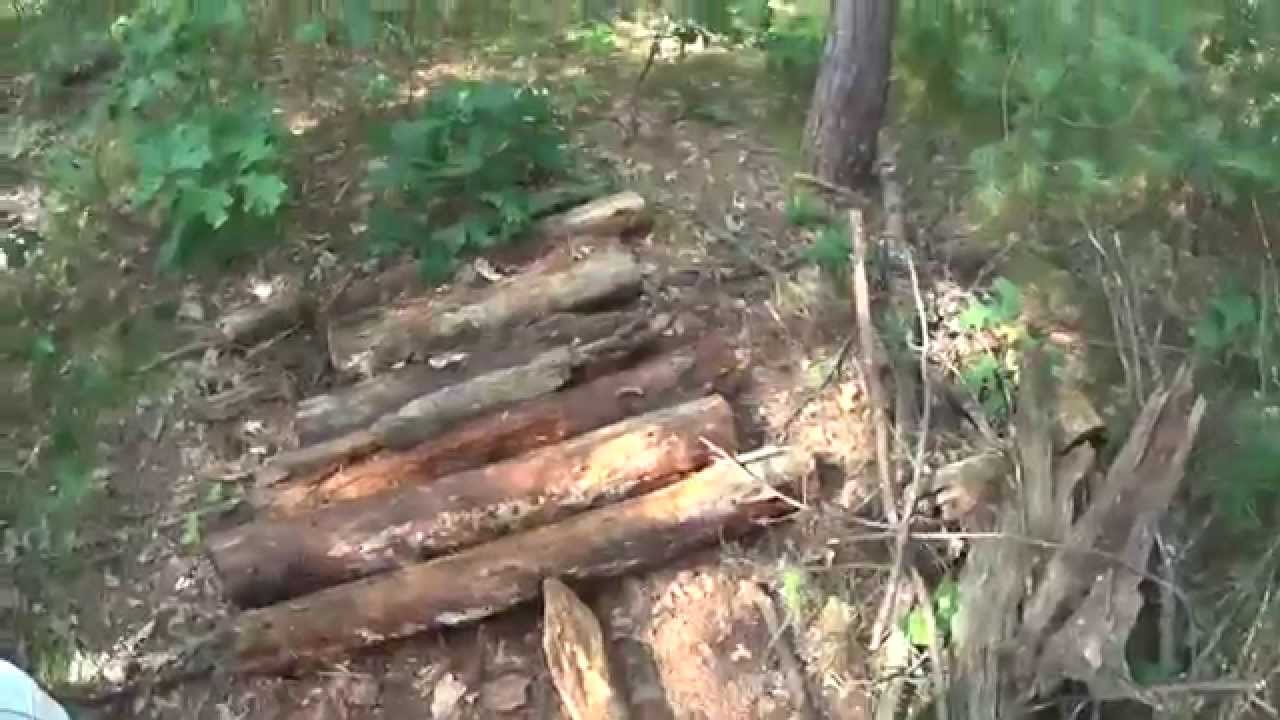 Bear Baiting in Wisconsin site 1 YouTube
