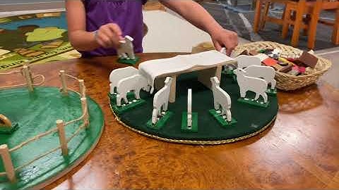 CGS at SFA: The Atrium