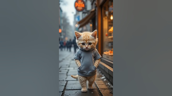 From Trash to Triumph: The Light Yellow Kitten’s Success Story! 💪✨