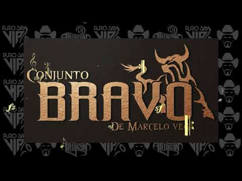 conjunto-bravo-de-marcelo-vega-🐍-huapango-la-cobra-2018