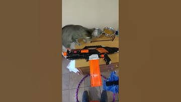 Nerf rapidstrike test fire after mod