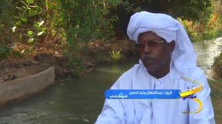 زول سوداني -عبد المتعال بخيت الحسن ـ قوشابي