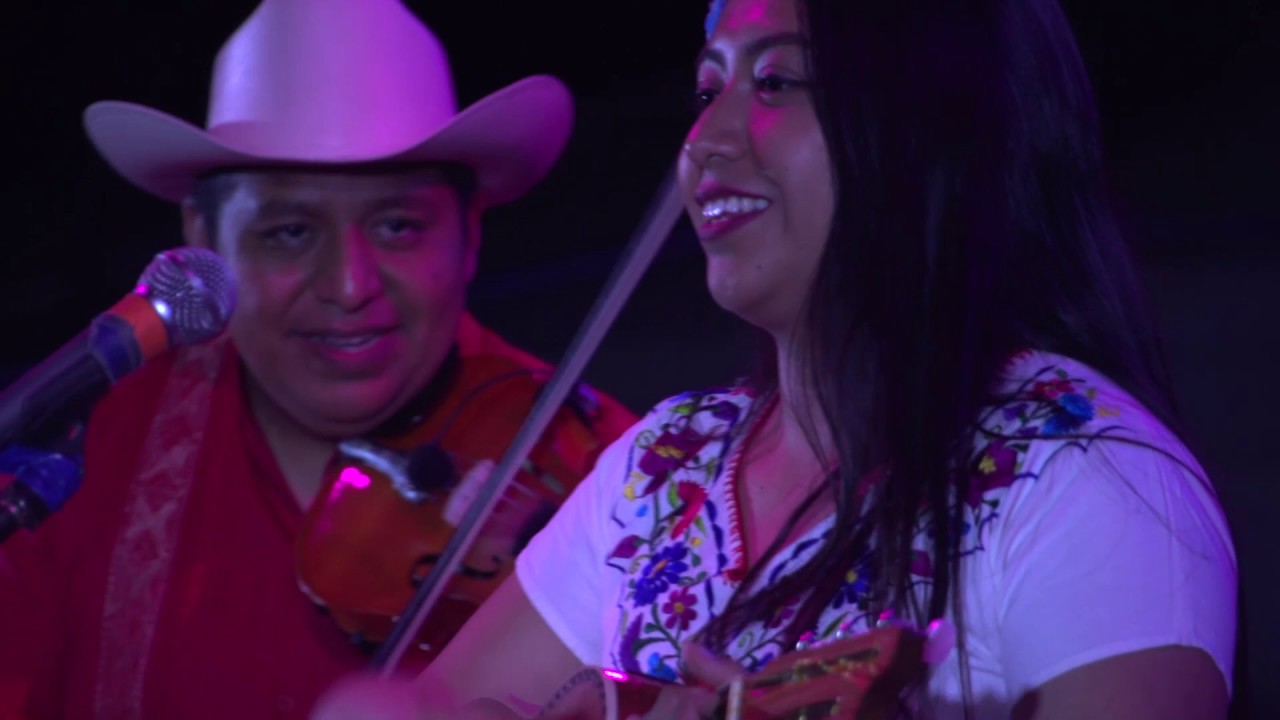 Staku y sus huastecos tocan La culebrita y El Perdiguero en la feria de Tlacuilotepec.
