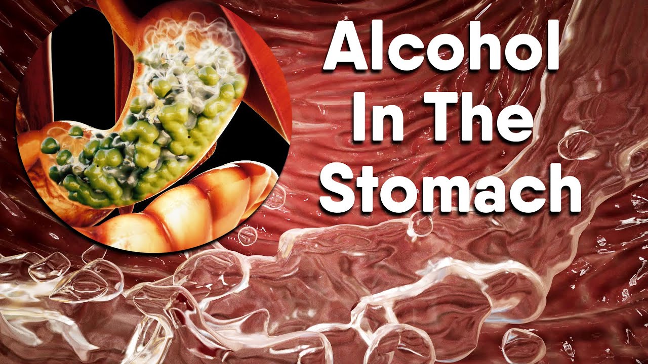 ⁣Alcohol increases acid in the stomach| Dandelion Team