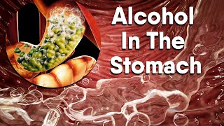 Alcohol increases acid in the stomach| Dandelion Team screenshot 3