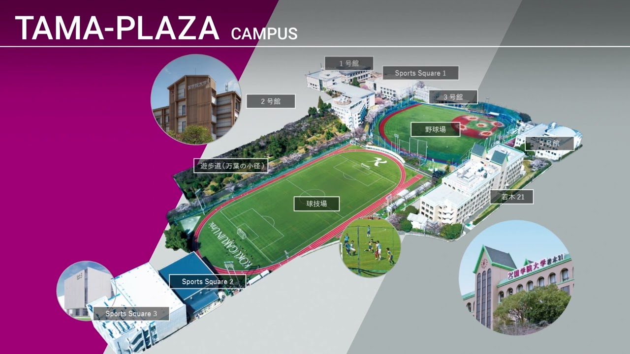 【大学紹介】國學院大學_キャンパス紹介