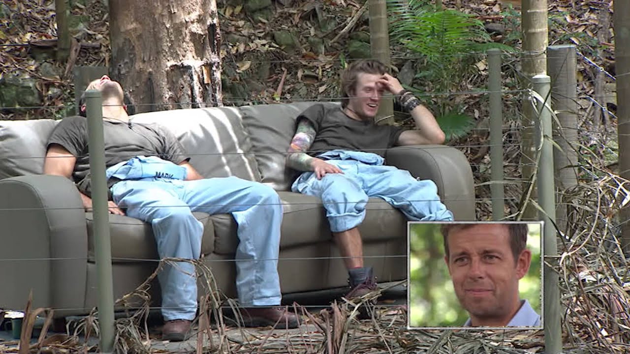 Pat Sharp's Jungle Highlights - I'm A Celebrity Get Me Out Of Here