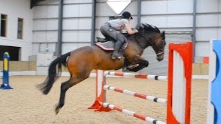 Alfie & Callie   SJ Training
