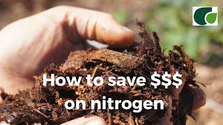 Managing Nitrogen: How to improve efficiency and save money