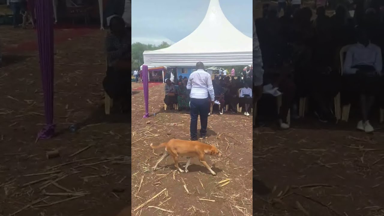BURIAL OF MAURICE ONYANGO LIVE FROM KANDIEGE.