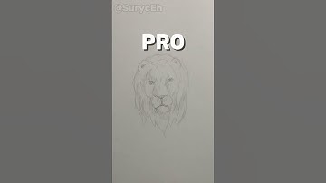 Realistic Lion Drawing Noob VS Pro VS Legend