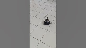 Human Follower robot using object detection AI #robotics #computervision #artificialintelligence