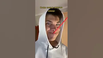 Когда ночью залетел Комар:🦟👿 Приколы от Fotona| Подпишись👇🔔 #Shorts