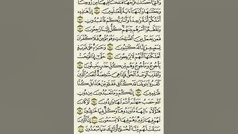 سورة الأنبياء من الآية ٩١ إلى الآية ١٠١بصوت القارئ ماهر المعيقلي