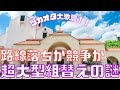 【新ゆっくり宝塚ニュース】#43 超大型組替え発表~路線落ちか競争か、同期を異動させる理由とは?~