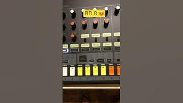 Creating the rhythm for a new song on the Behringer RD 8 #behringer #drummachine