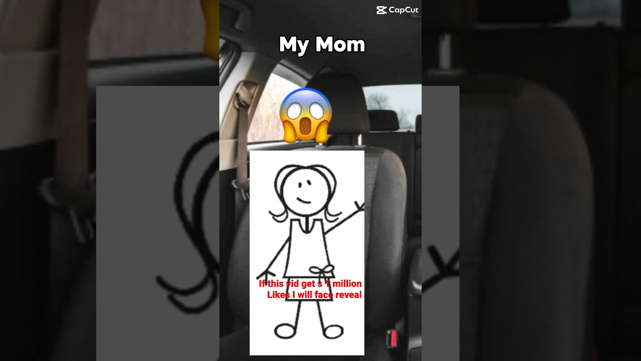 Looks like STICKMOM is not Familiar with STICKPIC driving😑😑😑￼