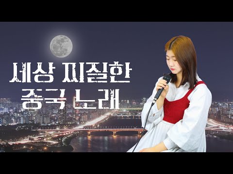 [斑马斑马🦓] 얼룩말아 얼룩말아_ 세아cover(중국노래/한국어해석)