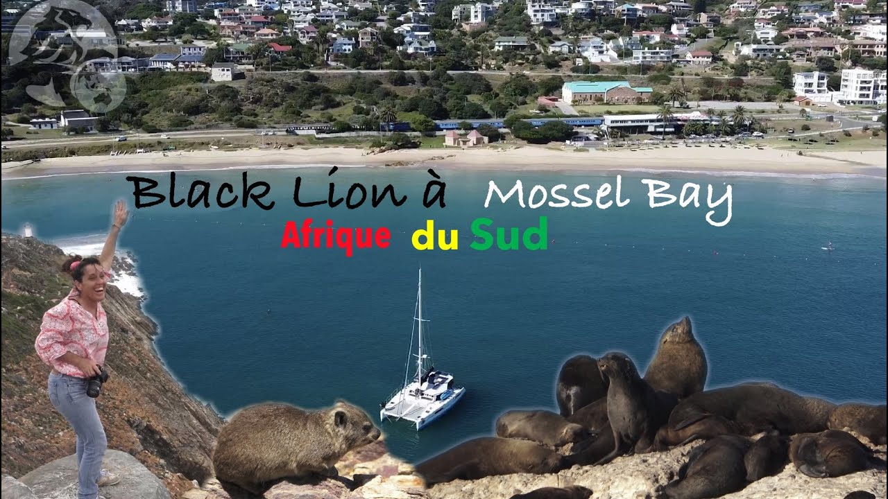 #67 Black Lion en transit à Mossel Bay attend sa nouvelle fenêtre météo. 31 Décembre 2020.