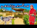 Hamare ghar mein new baby aane wala hai  village life family vlogs  happy village family