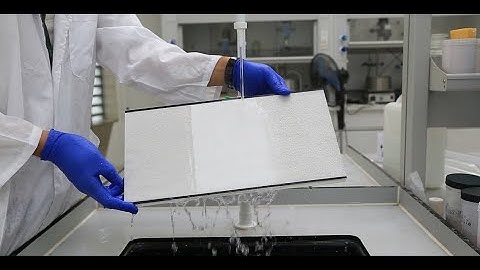 3TREES Photocatalysis Self-cleaning Finish Varnish