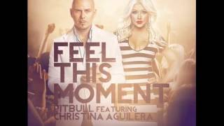 Pitbull Feel This Moment - 2013