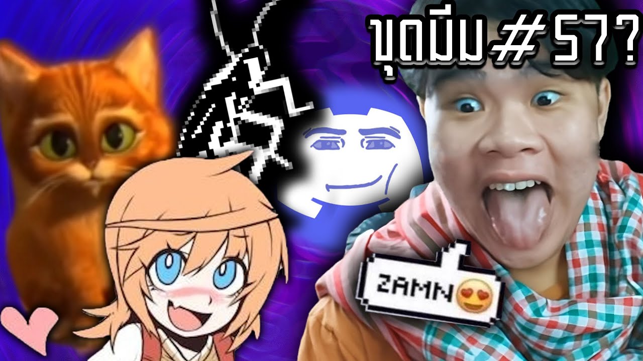 ฉันรักแมว จริงไม่โม้🥰🛒(ขุดมีมEP57)