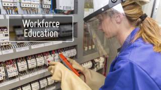 2017 NEMA Strategic Initiatives Overview