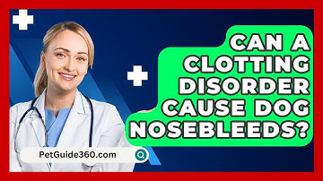 Can A Clotting Disorder Cause Dog Nosebleeds? - PetGuide360.com