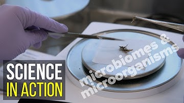 The world of microbiomes | Science in Action