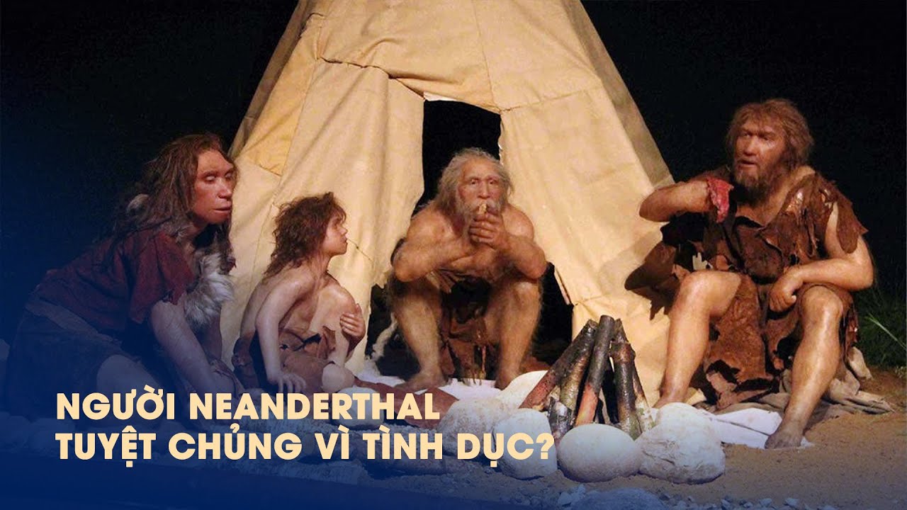 Tình dục đã khiến người Neanderthal tuyệt chủng? - YouTube